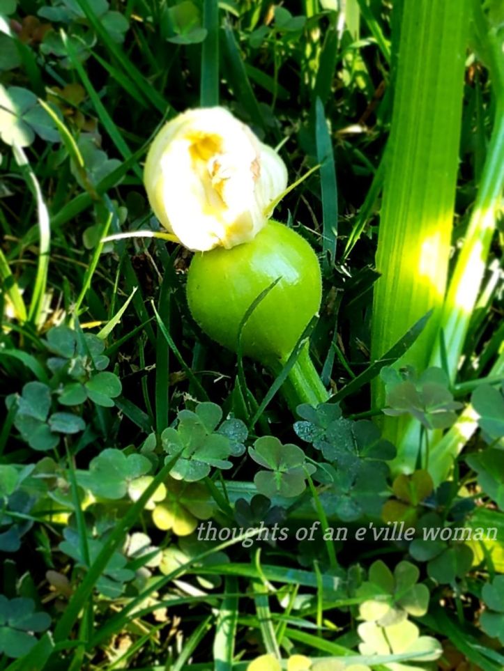 66dc5ebc0ea9a18849fc5d06fee2ff50_8584385