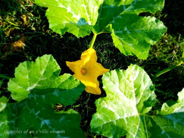 6f4d9f74bda9c108280fb5aec1708fe9_8584368