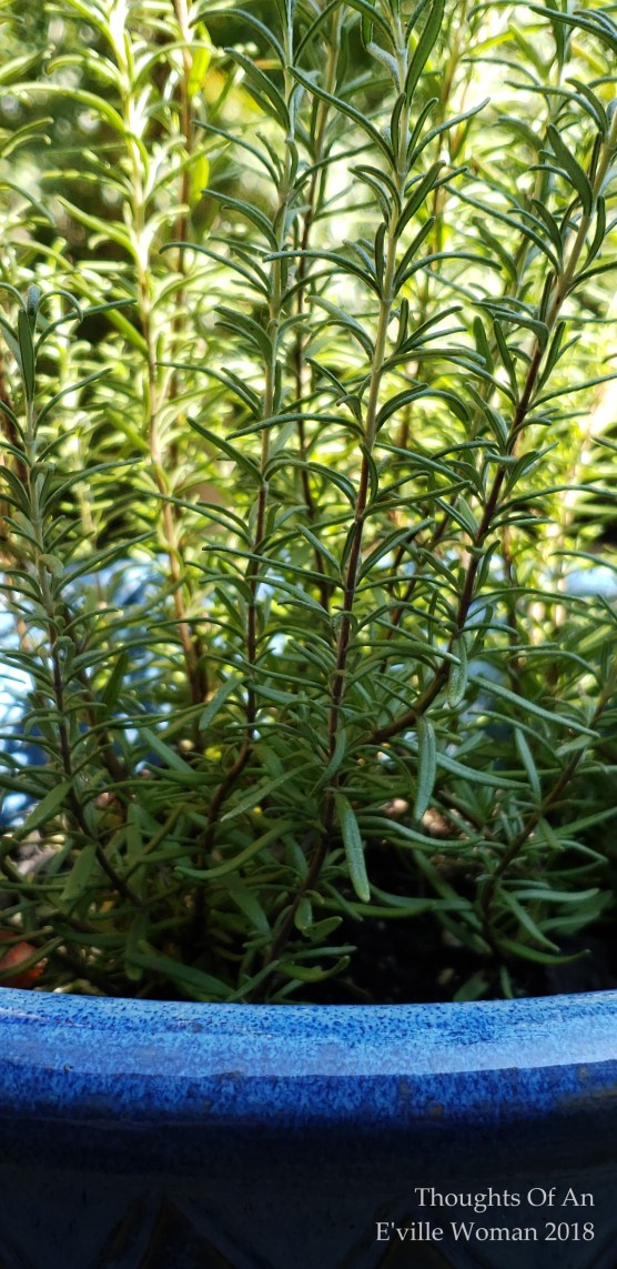 things people grow 1