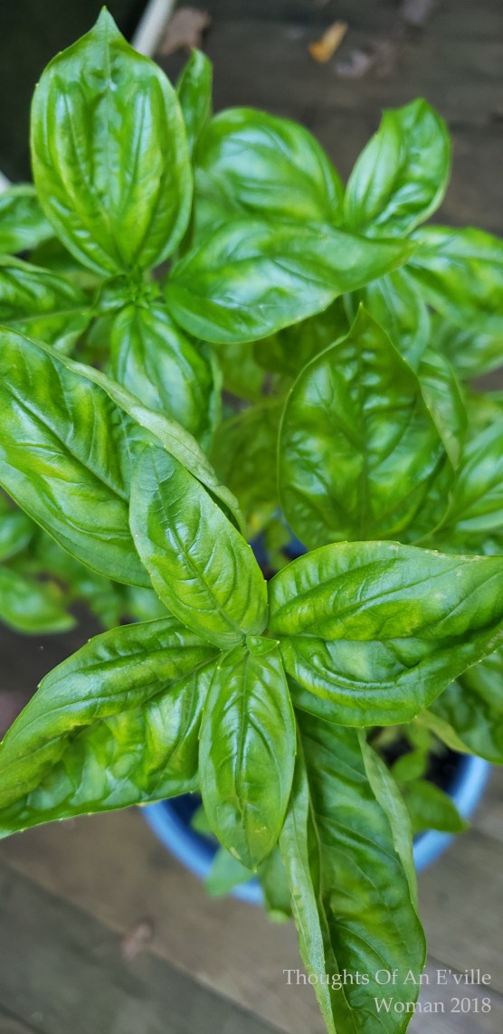 things people grow 2